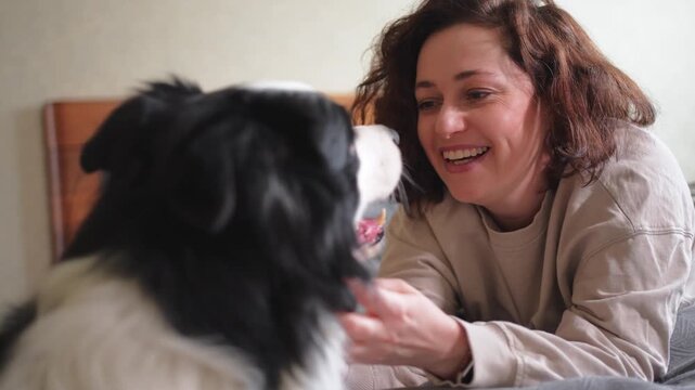 Smiling woman playing with cute puppy dog border collie on bed at home indoor. Owner girl stroking holding dog friend sitting on sofa in living room. Love for pets friendship support team concept