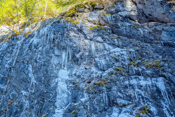 Fototapeta premium Bride's Veil Waterfall, Apuseni Mountains, Transylvania, Romania: Icicles hanging from a rocky cliff face in winter