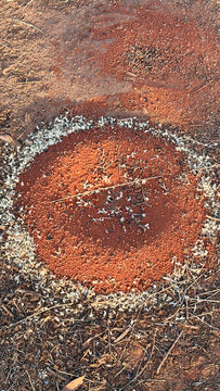 Overhead view of ant nest mound with seed husks on red outback soil