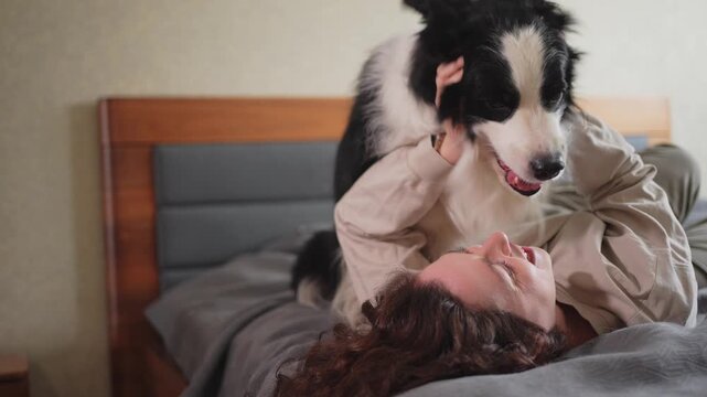 Smiling woman playing with cute puppy dog border collie on bed at home indoor. Owner girl stroking holding dog friend sitting on sofa in living room. Love for pets friendship support team concept