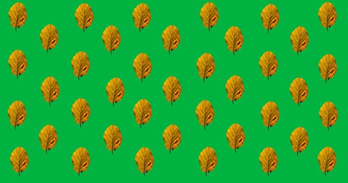Digital animation of multiple yellow autumn leaves in seamless pattern against black background