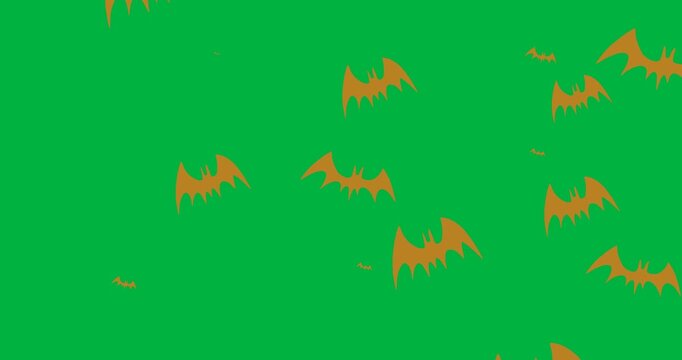 Halloween digital illustration holiday scary celebration bat icon animation black background