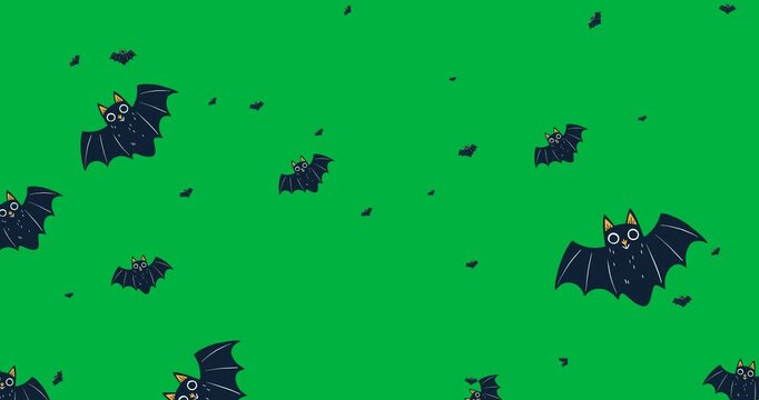 Halloween digital illustration holiday scary celebration black bat icons animation black background