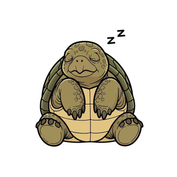 Sleeping tortoise cartoon animal character.