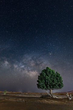 Milchstra&szlig;e bei totaler Finsternis fotografiert, Sahara W&uuml;ste, Merzouga, Marokko < english> Milky Way photographed during total eclipse, Sahara Desert, Merzouga, Morocco