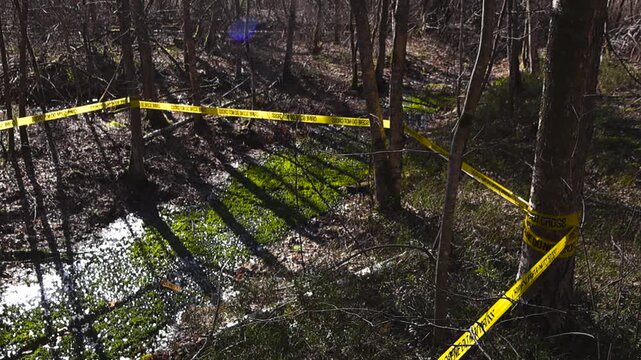 Bright yellow police tape with the words Crime Scene Do Not Cross cordoning off a wooded area with a small stream, indicating an ongoing law enforcement investigation on a sunny day