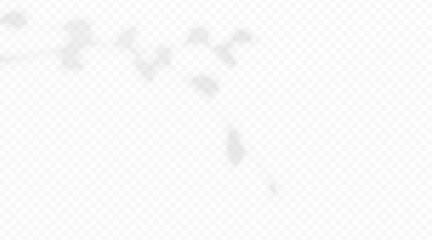 Blurred tree twig foliage shadow overlay isolated on transparent background. © TanyaFox