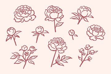 Peony flowers set naive doodle vector illustration © Victoria