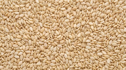 Fototapeta premium Sesame seeds texture background and food ingredient, healthy eating concept grain macro, seed texture, cereal top-down, food grain background, wheat seed macro, copy space