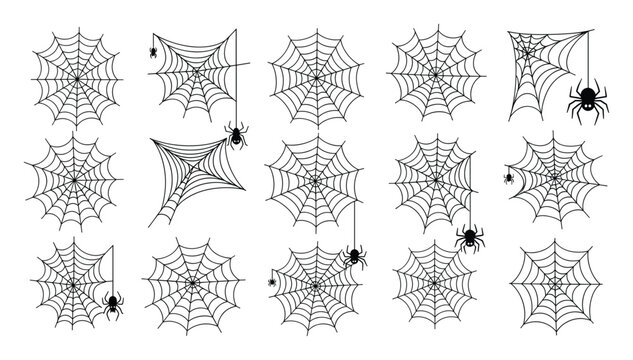 Collection of spooky spiderwebs with spiders ideal for Halloween decorations creepy themed graphic design projects or seasonal party invitations and holiday assets