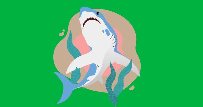 Digital animation of shark icon banner against black background