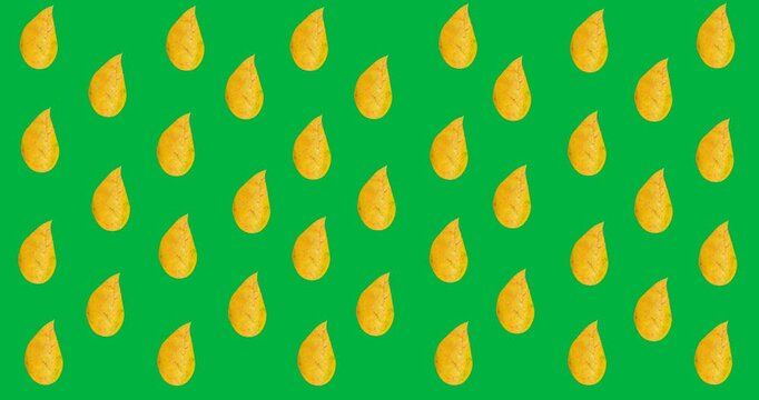 Digital animation of multiple autumn leaves in seamless pattern against black background