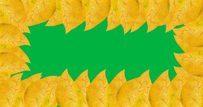 Digital animation of multiple yellow autumn leaves forming a frame against black background