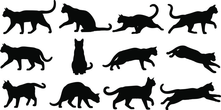 Collection of black cat silhouettes in various poses and activities