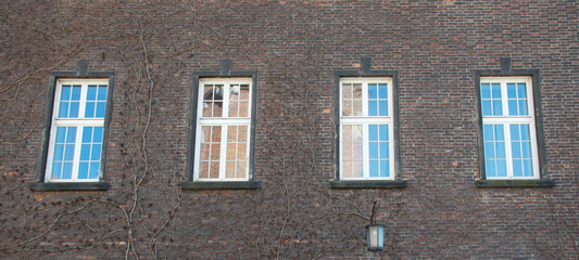 Naklejka premium Aged brick wall in eastern Europe, Poland, Krakow. Vintage windows and climbing ivy creating rich texture. Symmetrical window composition on an old facade with rustic architectural detail.