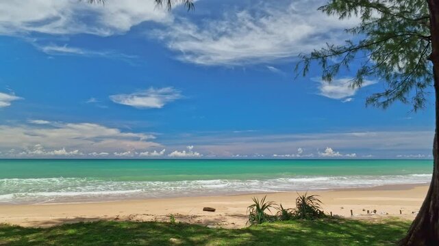 Aerial view drone flying through pine tree to sand beach, Phang nga, Thailand