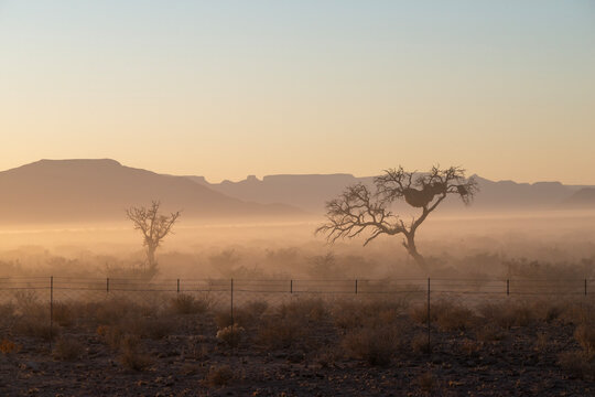 morning fog landscape