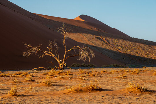sand dunes landscape
