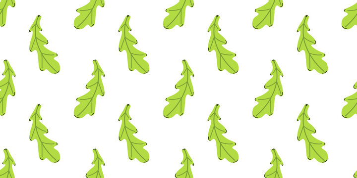Vector seamless pattern with fresh arugula salad leaf on white background. Green salad herb backdrop print for kitchen textile, wrapping paper, packaging and healthy vegan food design.