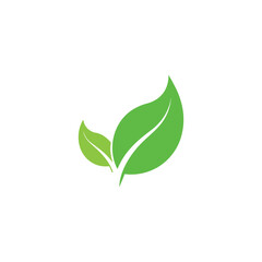 Obraz premium Eco Leaves Logo Design, Green Leaf Nature Icon, Organic Sustainability Branding
