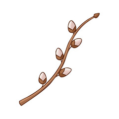 Obraz premium Delicate Pussy Willow Branch with Soft Buds Against a Clean White Background