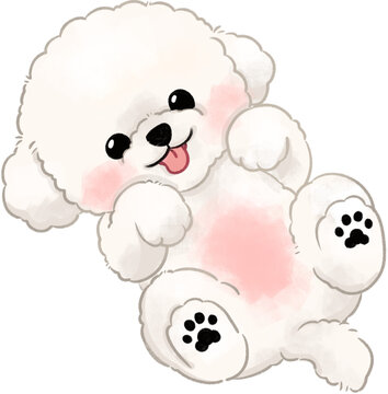 Cute fluffy bichon frise puppy lying on back, adorable cartoon dog illustration isolated