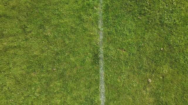 This is an ascending aerial shot of a soccer field in Dambach-La-Ville, France. The video shows a top-down pedestal view of the green grass and white lines of the football pitch.