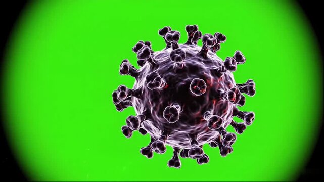 3D animation complex biological virus pathogen slowly drifting and rotating in fluid environment against chroma key green screen background. 