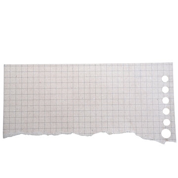 Torn Graph Paper Scrap with Holes