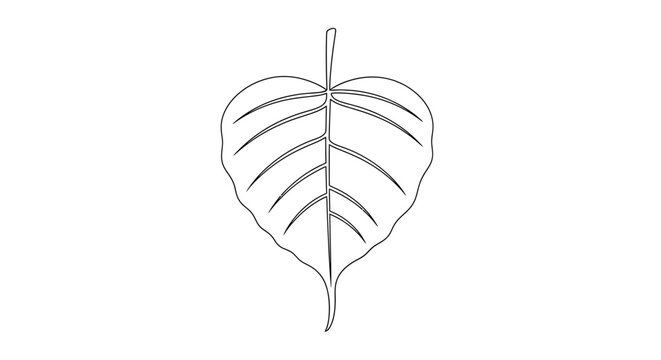Bodhi leaf outline, sacred fig tree symbol, spirituality, Buddhism, nature, vector art