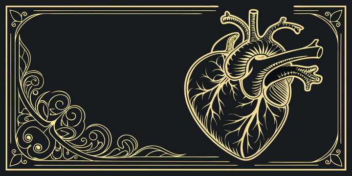 Vintage gold anatomical human heart with ornamental frame, vector