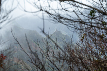 Obraz premium A scenic view of mist-covered volcanic mountain peaks in Madeira, Portugal, captured through the silhouettes of bare branches on a cold, overcast day.