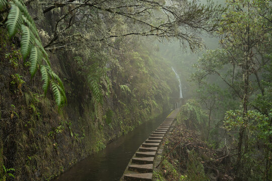 Levada Nova hiking trail with irrigation canal and waterfall in foggy laurel forest, Madeira, Portugal. The path features stone stairs and dense green vegetation.
