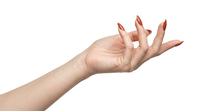 Woman's hand with long red nails on black background