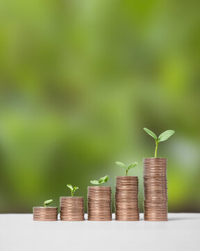 Young green seedlings plant growing on increasing coin stacking for money saving deposit and investment dividend growth concept, goals achievement and business success. Growth standard of living