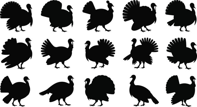 A diverse array of black turkey bird silhouettes presented in various natural stances against a crisp white backdrop