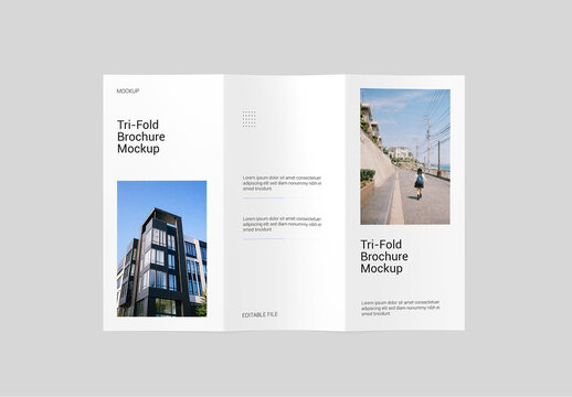 Trifold PSD Mockup