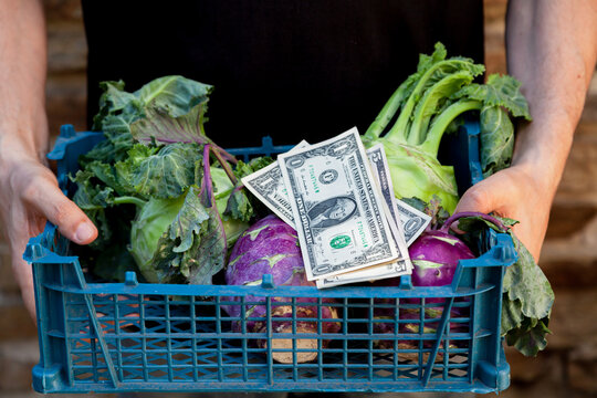 Cash lies on kohlrabi cabbage