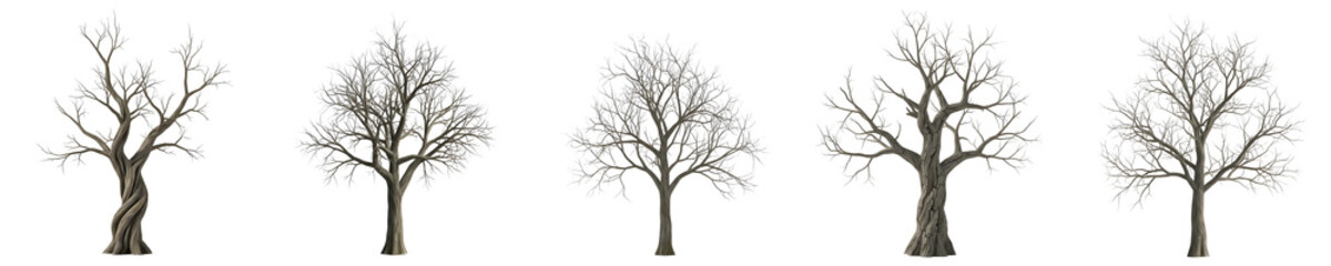 Obraz premium Realistic Dead Winter Tree Collection Isolated on White Background - High Quality 3D Render Style Leafless Bare Trees for Landscape Design and Digital Stock Assets