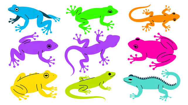 A set of 9 colorful silhouette illustrations of frogs and lizards arranged in a 3x3 grid against a white background.
