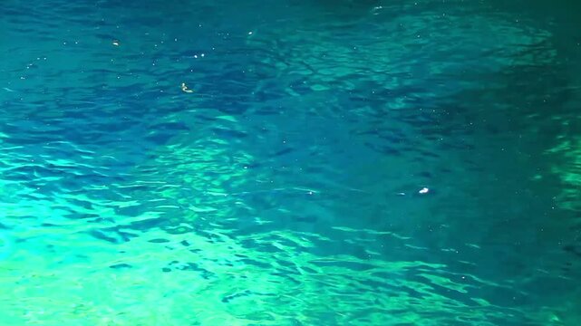 仁淀ブルーの清流と小魚とトンボ