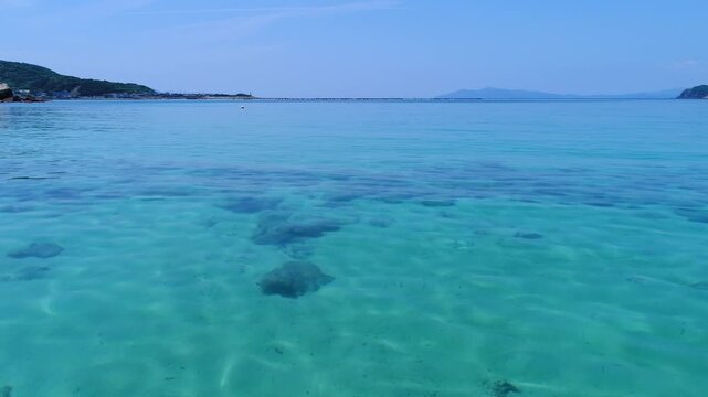 柏島ブルーの水面