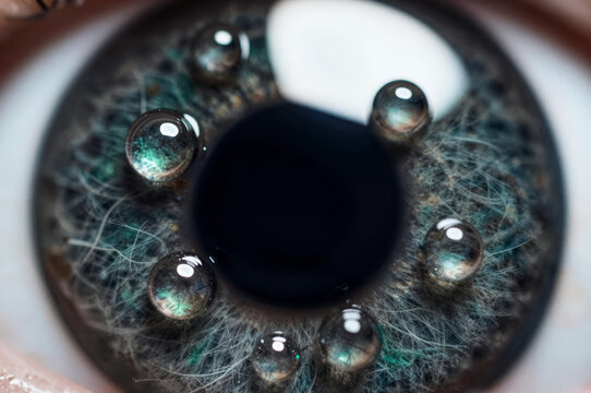 Macro view reveals the intricate fibered texture of a blue iris where sharp specular highlights dance across moist corneal reflections and radial stroma patterns.