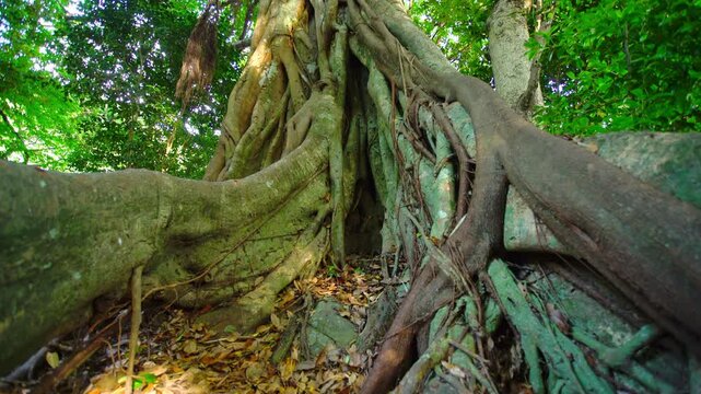 ハート型の白山洞門
