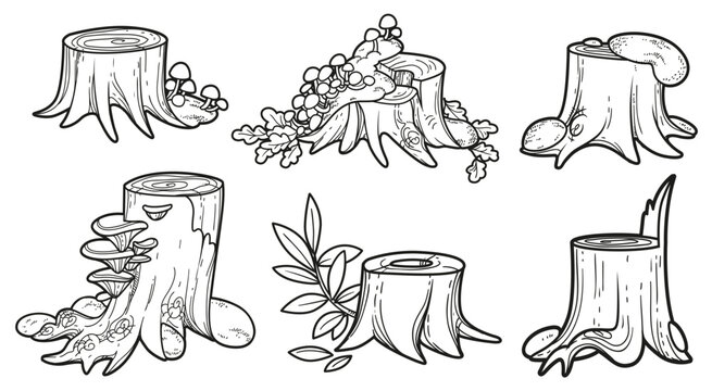 Set of  different stumps with parasitic overgrowth toadstools and moss outlined for coloring isolated on white background