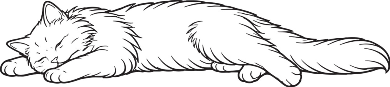 Ragamuffin cat sleeping stretched line art, fluffy longhair cat relaxed sleeping pose outline illustration