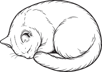 Chartreux cat sleeping curled line art black and white vector isolated resting feline illustration © chien