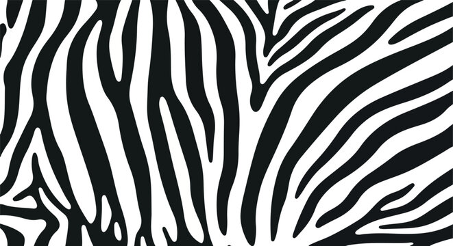 zebra stripes close-up: abstract black and white pattern
