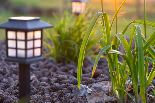 Eco-friendly solar lamp, perennial mix in flowerbed, modern mulch border, ornamental grasses, sustainable outdoor landscape, LED light, nod to Japanese design.