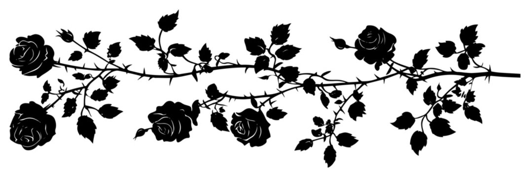 Rose Branch Silhouette Border, Floral Vine with Thorns and Leaves, Romantic Botanical Horizontal Vector Illustration